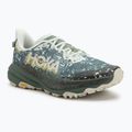 Кросівки для бігу чоловічі HOKA Speedgoat 6 GTX sea flass/fern