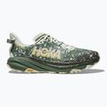 Кросівки для бігу чоловічі HOKA Speedgoat 6 GTX sea flass/fern 2