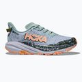 Кросівки для бігу жіночі HOKA Speedgoat 6 GTX jade/ash grey 2