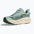 Кросівки для бігу чоловічі HOKA Challenger 8 jade/truffle salt 12