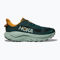 Кросівки для бігу чоловічі HOKA Challenger 8 bay leaf/sage 3
