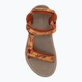 Сандалі жіночі Teva Terra Fi 5 Universal tree cover sedona 5