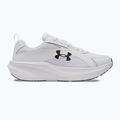 Чоловічі бігові кросівки Under Armour Assert 11 білий/чорний/далекий сірий