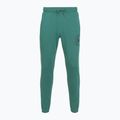 Штани чоловічі Under Armour Rival LW Graphic Jogger rack green/black