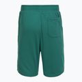 Шорти для тренувань чоловічі Under Armour Rival LW Graphic rack green/black 6