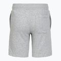 Шорти дитячі Under Armour Rival LW Shorts mod gray light heather/black 2