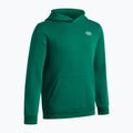 Кофта дитяча Under Armour B Rival Fleece Hoodie campus ivy/white 3