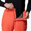Чоловічі лижні штани Columbia Bugaboo V zing 6