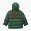 Куртка утеплена дитяча Columbia Pike Lake II Hooded rain forest/greenscape 2