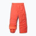 Штани гірськолижні Columbia Bugaboo III zing 2