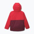 Дитяча лижна куртка Columbia Alpine Action III Rich Wine melange/mountain red 2