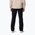 чоловічі трекінгові штани Columbia ROC Tech Chino black 3