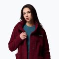 Жіноча флісова куртка Columbia Panorama Long rich wine 6