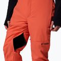 Штани гірськолижні чоловічі Columbia Cirque Bowl zing 10
