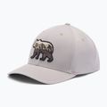 Кепка Columbia Lost Lager 3D Stretch Snapback flint grey/scenic stroll