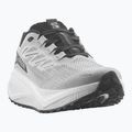 Кросівки для бігу чоловічі Salomon Aero Blaze 3 Gravel lunar rock/white/black 8