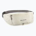 Пояс для бігу Salomon Pulse Sling icicle / castlerock