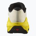 Кросівки для бігу чоловічі Salomon Ultra Glide 3 almond milk/incaberry/black 11