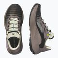 Жіночі бігові кросівки Salomon Genesis Iron/vanilla ice/cyclamen 6