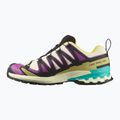 Кросівки для бігу чоловічі Salomon XA PRO 3D V9 GTX transparent yellow/black/waterfall 9