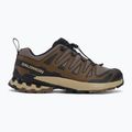 Кросівки для бігу чоловічі Salomon XA Pro 3D V9 falcon/desert tan/black 2