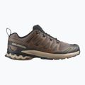 Кросівки для бігу чоловічі Salomon XA Pro 3D V9 falcon/desert tan/black 2