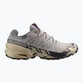 Кросівки для бігу чоловічі Salomon Speedcross 6 GTX gull/white pepper/black 2