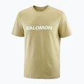 Футболка чоловіча Salomon Logo gray green 3