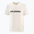 Футболка чоловіча Salomon Logo whisper white 3