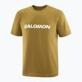 Футболка чоловіча Salomon Logo brilliant olive 3