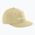 Кепка Salomon Logo Flat gray green