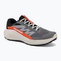 Кросівки для бігу чоловічі Salomon Alphaglide GTX castlerock/lunar rock
