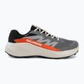 Кросівки для бігу чоловічі Salomon Alphaglide GTX castlerock/lunar rock 2