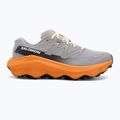 Кросівки для бігу чоловічі Salomon Ultra Flow 2 GTX gull/turmeric/white pepper 2