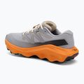 Кросівки для бігу чоловічі Salomon Ultra Flow 2 GTX gull/turmeric/white pepper 3