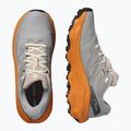 Кросівки для бігу чоловічі Salomon Ultra Flow 2 GTX gull/turmeric/white pepper 8