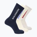 Шкарпетки Salomon Everyday Crew 3 pairs spellbound/vanilla ice/lunar rock