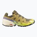 Кросівки для бігу чоловічі Salomon Speedcross 6 GTX grape leaf/aspargus green