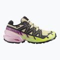 Кросівки для бігу жіночі Salomon Speedcross 6 GTX bog/dawn pink