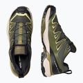 Кросівки трекінгові чоловічі Salomon X Ultra 360 Edge GTX peat/olive night 5
