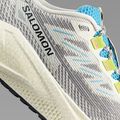 Кросівки для бігу чоловічі Salomon Aero Blaze 3 GRVL vanilla ice/ojos del salar/black 8