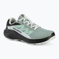 Кросівки для бігу жіночі Salomon Alphaglide GTX green milieu/asphalt