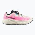 Кросівки для бігу чоловічі Salomon Aero Glide 4 GRVL vanilla ice/knockout pink/black 2