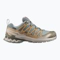 Кросівки для бігу чоловічі Salomon XA Pro 3D V9 GTX sedona sage/brilliant olive