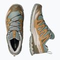 Кросівки для бігу чоловічі Salomon XA Pro 3D V9 GTX sedona sage/brilliant olive 3