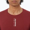 Чоловіча бігова футболка  Salomon Ultra Tee syrah 3