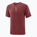 Чоловіча бігова футболка  Salomon Ultra Tee syrah 5