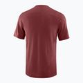 Чоловіча бігова футболка  Salomon Ultra Tee syrah 6