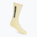 Шкарпетки Salomon Everyday Crew 3 pack brunnera blue/dusty yellow/icy pink 2