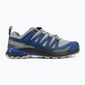 Кросівки для бігу чоловічі Salomon XA Pro 3D V9 wrought iron/spellbound 2